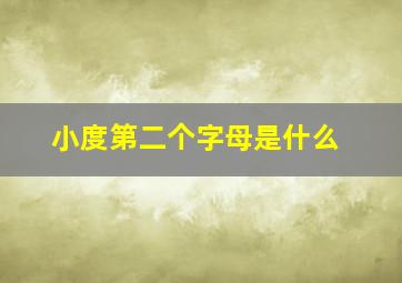 小度第二个字母是什么