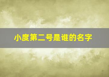 小度第二号是谁的名字