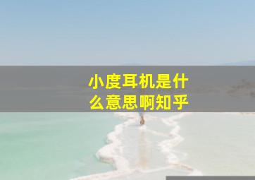 小度耳机是什么意思啊知乎