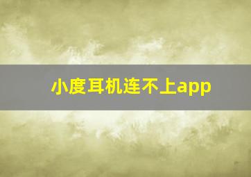 小度耳机连不上app