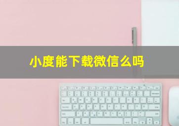 小度能下载微信么吗