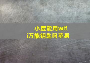 小度能用wifi万能钥匙吗苹果