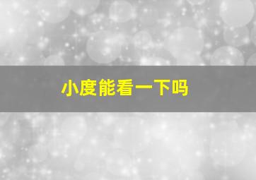 小度能看一下吗