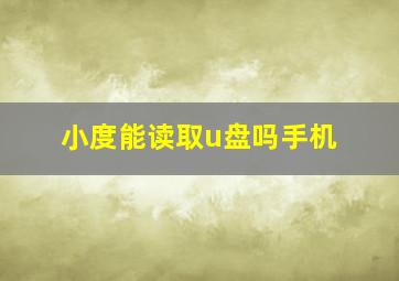 小度能读取u盘吗手机