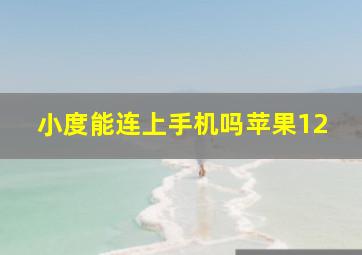 小度能连上手机吗苹果12