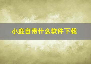 小度自带什么软件下载