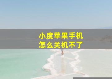 小度苹果手机怎么关机不了