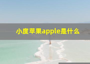 小度苹果apple是什么