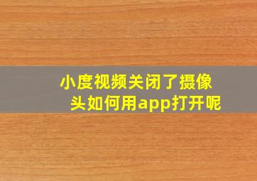 小度视频关闭了摄像头如何用app打开呢