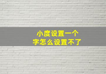 小度设置一个字怎么设置不了