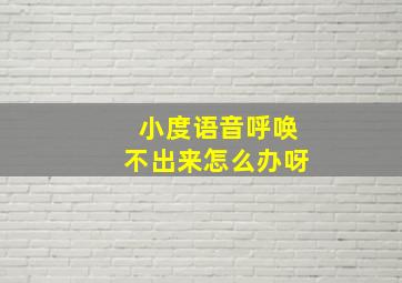 小度语音呼唤不出来怎么办呀