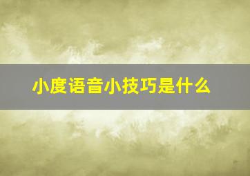 小度语音小技巧是什么