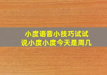 小度语音小技巧试试说小度小度今天是周几