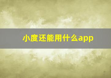 小度还能用什么app