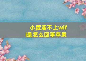 小度连不上wifi是怎么回事苹果