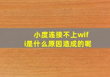 小度连接不上wifi是什么原因造成的呢