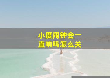 小度闹钟会一直响吗怎么关