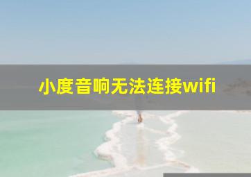 小度音响无法连接wifi