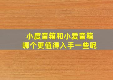 小度音箱和小爱音箱哪个更值得入手一些呢