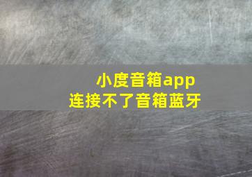 小度音箱app连接不了音箱蓝牙