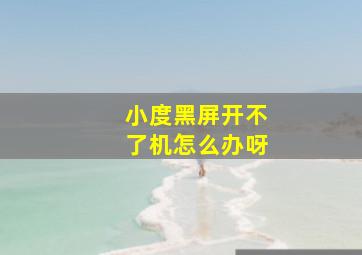 小度黑屏开不了机怎么办呀