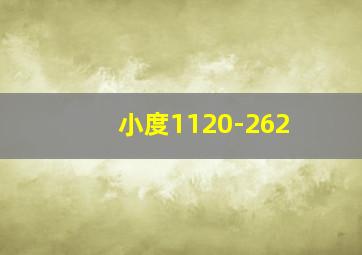 小度1120-262