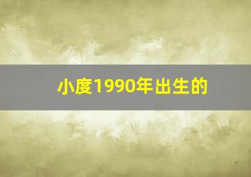 小度1990年出生的