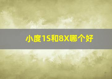 小度1S和8X哪个好