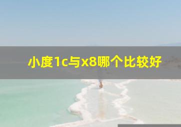 小度1c与x8哪个比较好