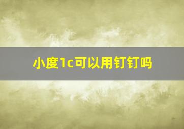 小度1c可以用钉钉吗