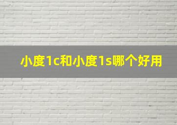 小度1c和小度1s哪个好用