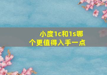 小度1c和1s哪个更值得入手一点