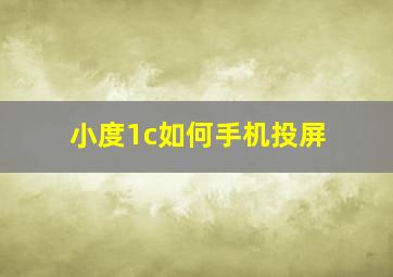 小度1c如何手机投屏