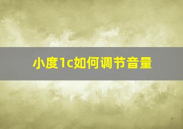 小度1c如何调节音量