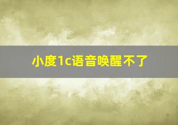 小度1c语音唤醒不了