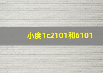 小度1c2101和6101