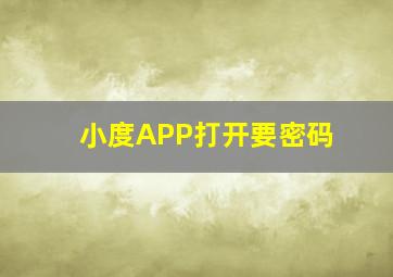 小度APP打开要密码