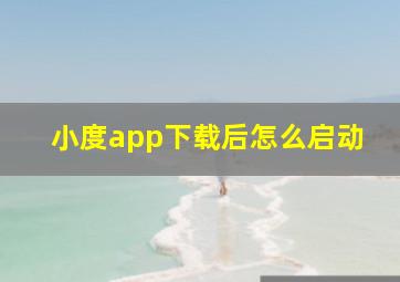 小度app下载后怎么启动