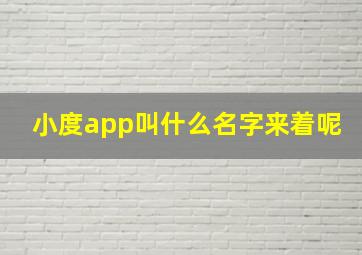 小度app叫什么名字来着呢