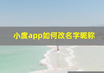 小度app如何改名字昵称