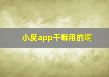 小度app干嘛用的啊