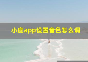 小度app设置音色怎么调