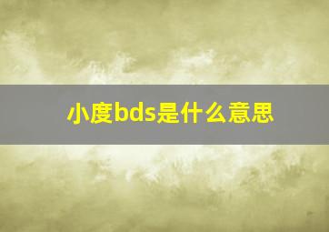 小度bds是什么意思