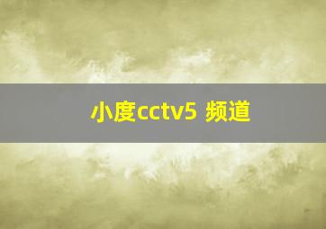 小度cctv5+频道