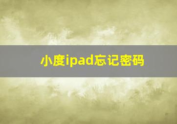 小度ipad忘记密码