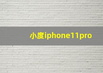 小度iphone11pro