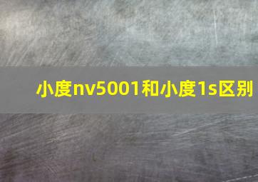 小度nv5001和小度1s区别