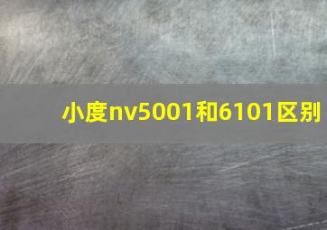 小度nv5001和6101区别