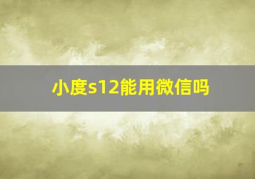 小度s12能用微信吗