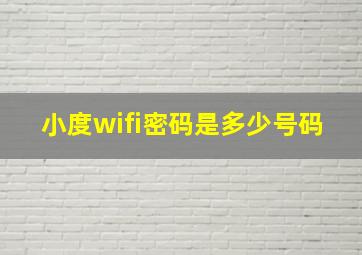 小度wifi密码是多少号码